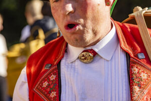 Appenzell, Appenzell Ausserrohden, Appenzeller Vorderland, Landwirtschaft, Schweiz, Suisse, Switzerland, Säntis, Tracht, Viehschau, Wald, Wald AR, Wirtschaft, tradition