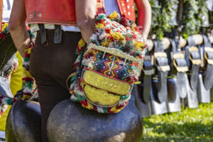 Appenzell, Appenzell Ausserrohden, Appenzeller Vorderland, Landwirtschaft, Schweiz, Suisse, Switzerland, Säntis, Tracht, Viehschau, Wald, Wald AR, Wirtschaft, tradition