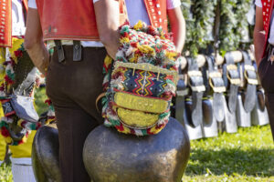 Appenzell, Appenzell Ausserrohden, Appenzeller Vorderland, Landwirtschaft, Schweiz, Suisse, Switzerland, Säntis, Tracht, Viehschau, Wald, Wald AR, Wirtschaft, tradition