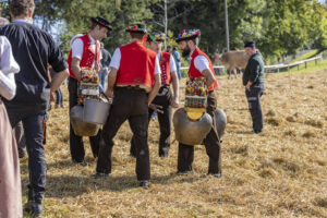 Appenzell, Appenzell Ausserrohden, Appenzeller Vorderland, Landwirtschaft, Schweiz, Suisse, Switzerland, Säntis, Tracht, Viehschau, Wald, Wald AR, Wirtschaft, tradition