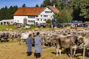 Appenzell, Appenzell Ausserrohden, Appenzeller Vorderland, Landwirtschaft, Schweiz, Suisse, Switzerland, Säntis, Tracht, Viehschau, Wald, Wald AR, Wirtschaft, tradition