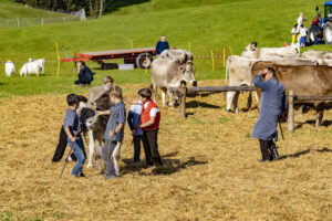 Appenzell, Appenzell Ausserrohden, Appenzeller Vorderland, Landwirtschaft, Schweiz, Suisse, Switzerland, Säntis, Tracht, Viehschau, Wald, Wald AR, Wirtschaft, tradition