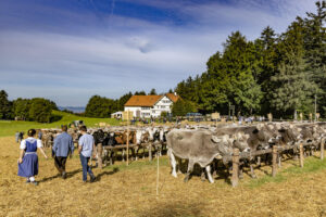 Appenzell, Appenzell Ausserrohden, Appenzeller Vorderland, Landwirtschaft, Schweiz, Suisse, Switzerland, Säntis, Tracht, Viehschau, Wald, Wald AR, Wirtschaft, tradition