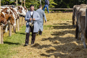 Appenzell, Appenzell Ausserrohden, Appenzeller Vorderland, Landwirtschaft, Schweiz, Suisse, Switzerland, Säntis, Tracht, Viehschau, Wald, Wald AR, Wirtschaft, tradition