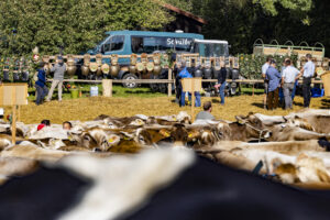 Appenzell, Appenzell Ausserrohden, Appenzeller Vorderland, Landwirtschaft, Schweiz, Suisse, Switzerland, Säntis, Tracht, Viehschau, Wald, Wald AR, Wirtschaft, tradition