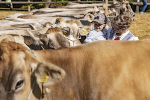 Appenzell, Appenzell Ausserrohden, Appenzeller Vorderland, Landwirtschaft, Schweiz, Suisse, Switzerland, Säntis, Tracht, Viehschau, Wald, Wald AR, Wirtschaft, tradition