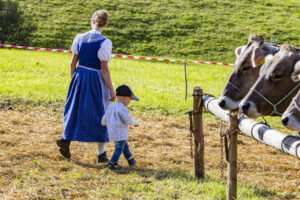 Appenzell, Appenzell Ausserrohden, Appenzeller Vorderland, Landwirtschaft, Schweiz, Suisse, Switzerland, Säntis, Tracht, Viehschau, Wald, Wald AR, Wirtschaft, tradition