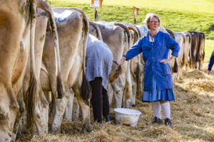 Appenzell, Appenzell Ausserrohden, Appenzeller Vorderland, Landwirtschaft, Schweiz, Suisse, Switzerland, Säntis, Tracht, Viehschau, Wald, Wald AR, Wirtschaft, tradition