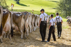 Appenzell, Appenzell Ausserrohden, Appenzeller Vorderland, Landwirtschaft, Schweiz, Suisse, Switzerland, Säntis, Tracht, Viehschau, Wald, Wald AR, Wirtschaft, tradition