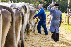 Appenzell, Appenzell Ausserrohden, Appenzeller Vorderland, Landwirtschaft, Schweiz, Suisse, Switzerland, Säntis, Tracht, Viehschau, Wald, Wald AR, Wirtschaft, tradition