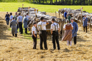 Appenzell, Appenzell Ausserrohden, Appenzeller Vorderland, Landwirtschaft, Schweiz, Suisse, Switzerland, Säntis, Tracht, Viehschau, Wald, Wald AR, Wirtschaft, tradition