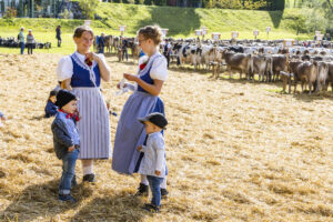 Appenzell, Appenzell Ausserrohden, Appenzeller Vorderland, Landwirtschaft, Schweiz, Suisse, Switzerland, Säntis, Tracht, Viehschau, Wald, Wald AR, Wirtschaft, tradition