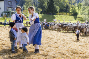 Appenzell, Appenzell Ausserrohden, Appenzeller Vorderland, Landwirtschaft, Schweiz, Suisse, Switzerland, Säntis, Tracht, Viehschau, Wald, Wald AR, Wirtschaft, tradition
