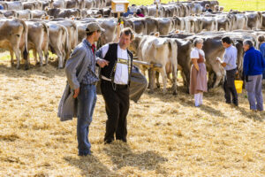 Appenzell, Appenzell Ausserrohden, Appenzeller Vorderland, Landwirtschaft, Schweiz, Suisse, Switzerland, Säntis, Tracht, Viehschau, Wald, Wald AR, Wirtschaft, tradition