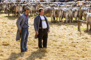 Appenzell, Appenzell Ausserrohden, Appenzeller Vorderland, Landwirtschaft, Schweiz, Suisse, Switzerland, Säntis, Tracht, Viehschau, Wald, Wald AR, Wirtschaft, tradition