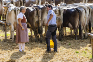 Appenzell, Appenzell Ausserrohden, Appenzeller Vorderland, Landwirtschaft, Schweiz, Suisse, Switzerland, Säntis, Tracht, Viehschau, Wald, Wald AR, Wirtschaft, tradition