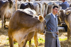 Appenzell, Appenzell Ausserrohden, Appenzeller Vorderland, Landwirtschaft, Schweiz, Suisse, Switzerland, Säntis, Tracht, Viehschau, Wald, Wald AR, Wirtschaft, tradition
