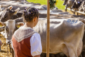 Appenzell, Appenzell Ausserrohden, Appenzeller Vorderland, Landwirtschaft, Schweiz, Suisse, Switzerland, Säntis, Tracht, Viehschau, Wald, Wald AR, Wirtschaft, tradition