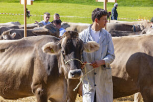 Appenzell, Appenzell Ausserrohden, Appenzeller Vorderland, Landwirtschaft, Schweiz, Suisse, Switzerland, Säntis, Tracht, Viehschau, Wald, Wald AR, Wirtschaft, tradition