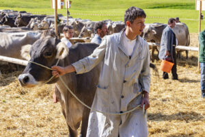 Appenzell, Appenzell Ausserrohden, Appenzeller Vorderland, Landwirtschaft, Schweiz, Suisse, Switzerland, Säntis, Tracht, Viehschau, Wald, Wald AR, Wirtschaft, tradition