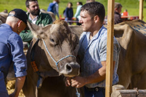 Appenzell, Appenzell Ausserrohden, Appenzeller Vorderland, Landwirtschaft, Schweiz, Suisse, Switzerland, Säntis, Tracht, Viehschau, Wald, Wald AR, Wirtschaft, tradition