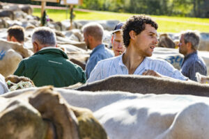 Appenzell, Appenzell Ausserrohden, Appenzeller Vorderland, Landwirtschaft, Schweiz, Suisse, Switzerland, Säntis, Tracht, Viehschau, Wald, Wald AR, Wirtschaft, tradition