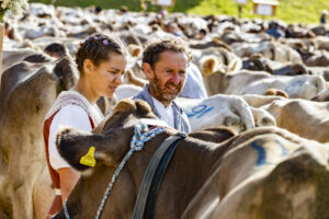 Appenzell, Appenzell Ausserrohden, Appenzeller Vorderland, Landwirtschaft, Schweiz, Suisse, Switzerland, Säntis, Tracht, Viehschau, Wald, Wald AR, Wirtschaft, tradition