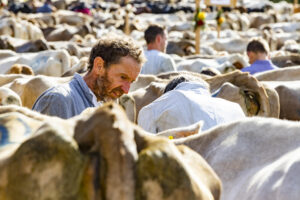 Appenzell, Appenzell Ausserrohden, Appenzeller Vorderland, Landwirtschaft, Schweiz, Suisse, Switzerland, Säntis, Tracht, Viehschau, Wald, Wald AR, Wirtschaft, tradition