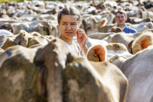 Appenzell, Appenzell Ausserrohden, Appenzeller Vorderland, Landwirtschaft, Schweiz, Suisse, Switzerland, Säntis, Tracht, Viehschau, Wald, Wald AR, Wirtschaft, tradition