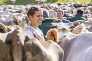 Appenzell, Appenzell Ausserrohden, Appenzeller Vorderland, Landwirtschaft, Schweiz, Suisse, Switzerland, Säntis, Tracht, Viehschau, Wald, Wald AR, Wirtschaft, tradition
