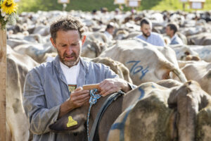 Appenzell, Appenzell Ausserrohden, Appenzeller Vorderland, Landwirtschaft, Schweiz, Suisse, Switzerland, Säntis, Tracht, Viehschau, Wald, Wald AR, Wirtschaft, tradition