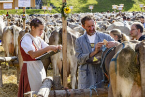 Appenzell, Appenzell Ausserrohden, Appenzeller Vorderland, Landwirtschaft, Schweiz, Suisse, Switzerland, Säntis, Tracht, Viehschau, Wald, Wald AR, Wirtschaft, tradition