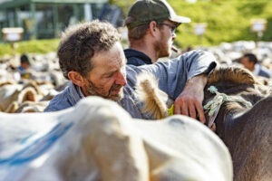 Appenzell, Appenzell Ausserrohden, Appenzeller Vorderland, Landwirtschaft, Schweiz, Suisse, Switzerland, Säntis, Tracht, Viehschau, Wald, Wald AR, Wirtschaft, tradition