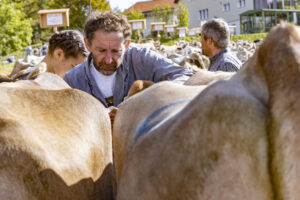 Appenzell, Appenzell Ausserrohden, Appenzeller Vorderland, Landwirtschaft, Schweiz, Suisse, Switzerland, Säntis, Tracht, Viehschau, Wald, Wald AR, Wirtschaft, tradition