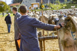 Appenzell, Appenzell Ausserrohden, Appenzeller Vorderland, Landwirtschaft, Schweiz, Suisse, Switzerland, Säntis, Tracht, Viehschau, Wald, Wald AR, Wirtschaft, tradition