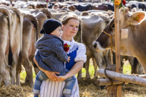 Appenzell, Appenzell Ausserrohden, Appenzeller Vorderland, Landwirtschaft, Schweiz, Suisse, Switzerland, Säntis, Tracht, Viehschau, Wald, Wald AR, Wirtschaft, tradition