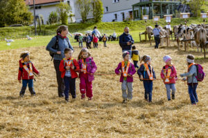 Appenzell, Appenzell Ausserrohden, Appenzeller Vorderland, Landwirtschaft, Schweiz, Suisse, Switzerland, Säntis, Tracht, Viehschau, Wald, Wald AR, Wirtschaft, tradition