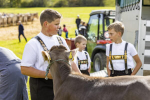 Appenzell, Appenzell Ausserrohden, Appenzeller Vorderland, Landwirtschaft, Schweiz, Suisse, Switzerland, Säntis, Tracht, Viehschau, Wald, Wald AR, Wirtschaft, tradition