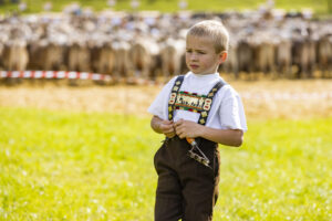 Appenzell, Appenzell Ausserrohden, Appenzeller Vorderland, Landwirtschaft, Schweiz, Suisse, Switzerland, Säntis, Tracht, Viehschau, Wald, Wald AR, Wirtschaft, tradition
