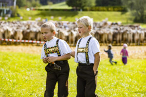 Appenzell, Appenzell Ausserrohden, Appenzeller Vorderland, Landwirtschaft, Schweiz, Suisse, Switzerland, Säntis, Tracht, Viehschau, Wald, Wald AR, Wirtschaft, tradition