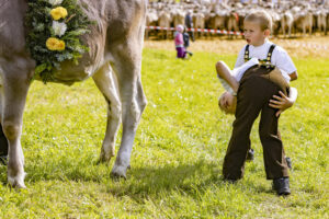 Appenzell, Appenzell Ausserrohden, Appenzeller Vorderland, Landwirtschaft, Schweiz, Suisse, Switzerland, Säntis, Tracht, Viehschau, Wald, Wald AR, Wirtschaft, tradition