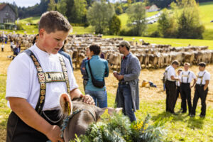 Appenzell, Appenzell Ausserrohden, Appenzeller Vorderland, Landwirtschaft, Schweiz, Suisse, Switzerland, Säntis, Tracht, Viehschau, Wald, Wald AR, Wirtschaft, tradition