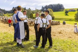 Appenzell, Appenzell Ausserrohden, Appenzeller Vorderland, Landwirtschaft, Schweiz, Suisse, Switzerland, Säntis, Tracht, Viehschau, Wald, Wald AR, Wirtschaft, tradition