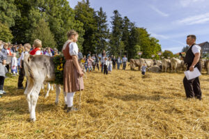 Appenzell, Appenzell Ausserrohden, Appenzeller Vorderland, Landwirtschaft, Schweiz, Suisse, Switzerland, Säntis, Tracht, Viehschau, Wald, Wald AR, Wirtschaft, tradition