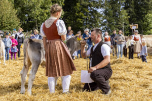 Appenzell, Appenzell Ausserrohden, Appenzeller Vorderland, Landwirtschaft, Schweiz, Suisse, Switzerland, Säntis, Tracht, Viehschau, Wald, Wald AR, Wirtschaft, tradition