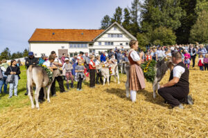 Appenzell, Appenzell Ausserrohden, Appenzeller Vorderland, Landwirtschaft, Schweiz, Suisse, Switzerland, Säntis, Tracht, Viehschau, Wald, Wald AR, Wirtschaft, tradition