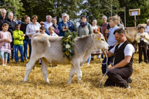 Appenzell, Appenzell Ausserrohden, Appenzeller Vorderland, Landwirtschaft, Schweiz, Suisse, Switzerland, Säntis, Tracht, Viehschau, Wald, Wald AR, Wirtschaft, tradition