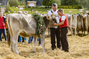 Appenzell, Appenzell Ausserrohden, Appenzeller Vorderland, Landwirtschaft, Schweiz, Suisse, Switzerland, Säntis, Tracht, Viehschau, Wald, Wald AR, Wirtschaft, tradition