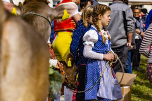 Appenzell, Appenzell Ausserrohden, Appenzeller Vorderland, Landwirtschaft, Schweiz, Suisse, Switzerland, Säntis, Tracht, Viehschau, Wald, Wald AR, Wirtschaft, tradition