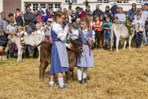 Appenzell, Appenzell Ausserrohden, Appenzeller Vorderland, Landwirtschaft, Schweiz, Suisse, Switzerland, Säntis, Tracht, Viehschau, Wald, Wald AR, Wirtschaft, tradition